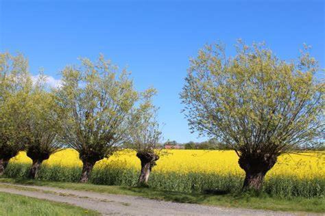Hedmansgarden Hotel Vastra Torp Luaran gambar
